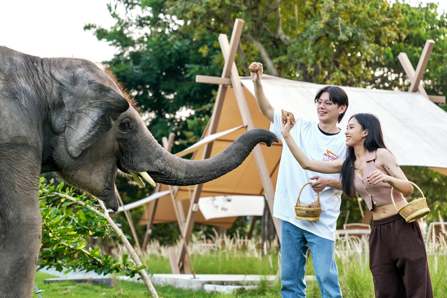 Guests feeding an elephant in a natural garden setting