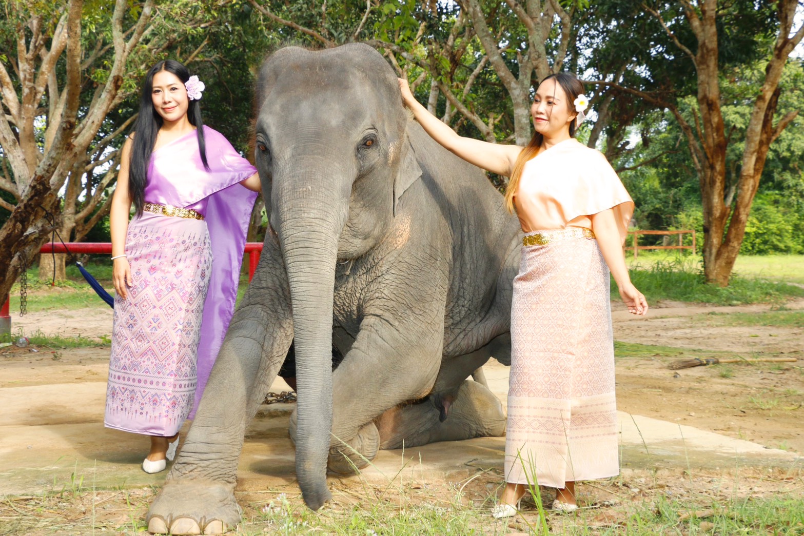 Guests in Thai traditional outfits beside an elephant